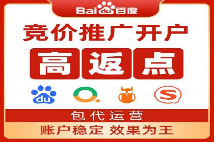 百度推广实战：案例分享与数据解读